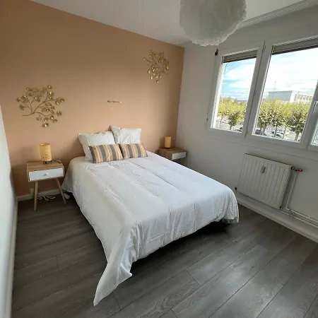 Appt 2 Chambres Proche Gare Fibre Wifi Orleans Exterior photo